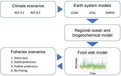 Frontiers | Bottom–Up Impacts of Forecasted Climate Change on the